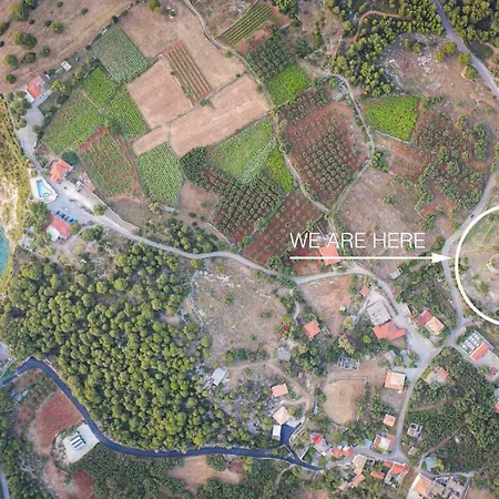 Anthe 1 Kampi (Zakynthos)